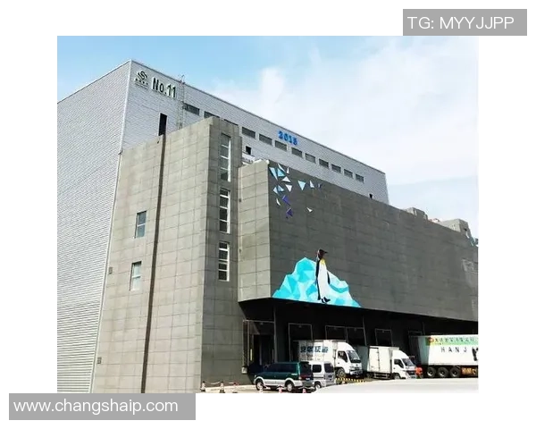 红桃国际独特优势解析助力企业发展与市场竞争力提升