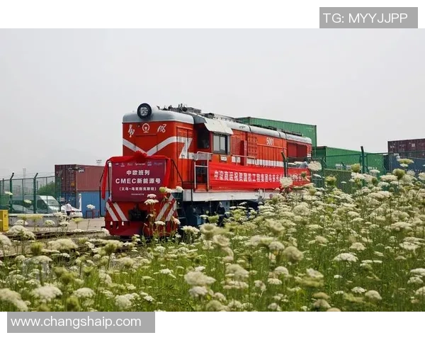 中欧优质平台zoty助力连接中欧经济合作新机遇