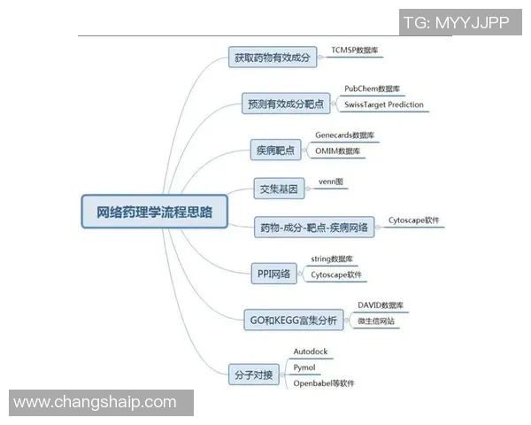 全面解析zoty中欧平台使用技巧与操作指南助你轻松上手