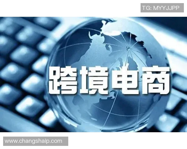 全面解析zoty中欧平台使用技巧与操作指南助你轻松上手 全面解析zoty中欧平台使用技巧与操作指南助你轻松上手