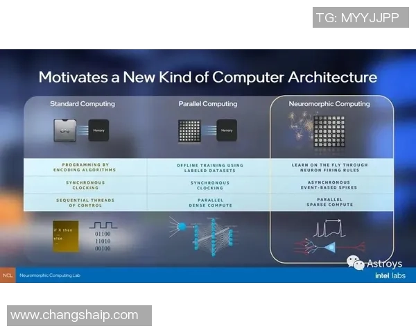 新宝GG神经形态芯片原型设计及其在类脑计算中的应用研究 新宝GG神经形态芯片原型设计及其在类脑计算中的应用研究