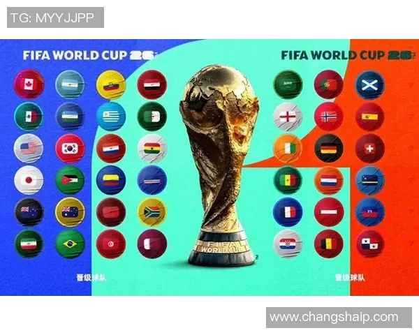 一图解读48支球队世界杯晋级之路全景展示与分析